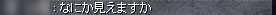 SS：なにが見えますか？